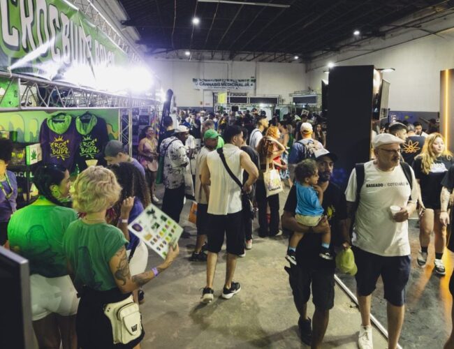 Maior encontro sobre cultura psicodélica no Brasil, Festival Híbrido valoriza a música eletrônica com Rica Amaral e outros em SP este fim de semana 